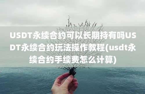 USDT永续合约可以长期持有吗USDT永续合约玩法操作教程(usdt永续合约手续费怎么计算)