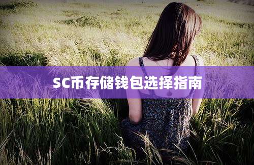 SC币存储钱包选择指南