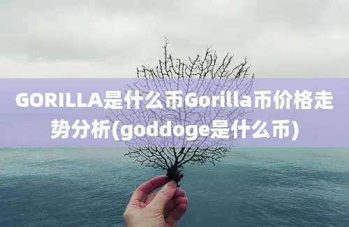 GORILLA是什么币Gorilla币价格走势分析(goddoge是什么币)