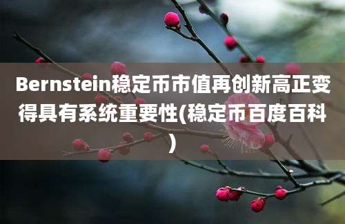 Bernstein稳定币市值再创新高正变得具有系统重要性(稳定币百度百科)