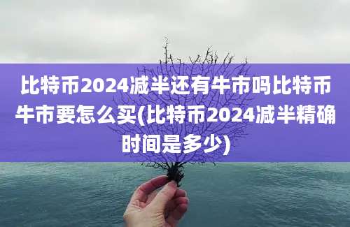 比特币2024减半还有牛市吗比特币牛市要怎么买(比特币2024减半精确时间是多少)