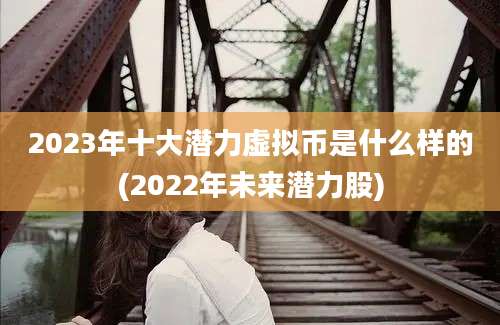 2023年十大潜力虚拟币是什么样的(2022年未来潜力股)