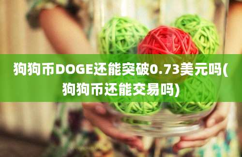 狗狗币DOGE还能突破0.73美元吗(狗狗币还能交易吗)