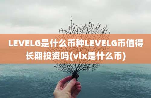 LEVELG是什么币种LEVELG币值得长期投资吗(vlx是什么币)