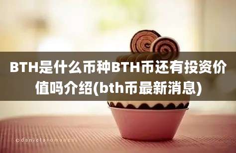 BTH是什么币种BTH币还有投资价值吗介绍(bth币最新消息)