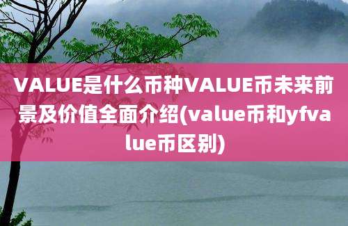 VALUE是什么币种VALUE币未来前景及价值全面介绍(value币和yfvalue币区别)