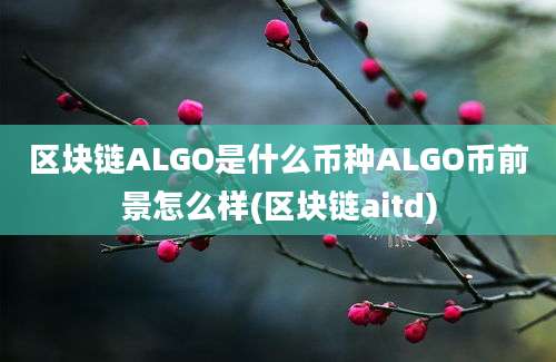 区块链ALGO是什么币种ALGO币前景怎么样(区块链aitd)