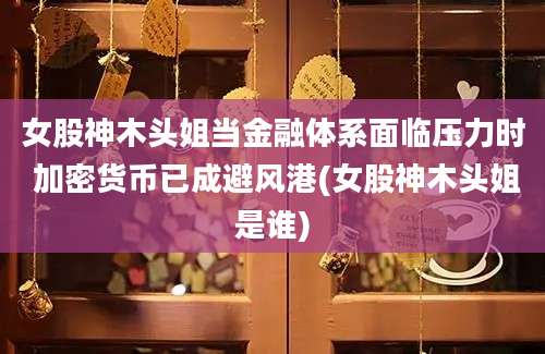 女股神木头姐当金融体系面临压力时 加密货币已成避风港(女股神木头姐是谁)