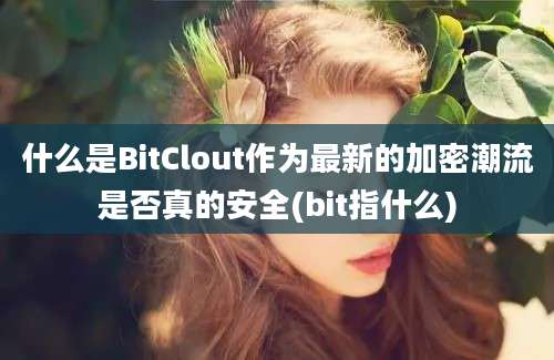 什么是BitClout作为最新的加密潮流是否真的安全(bit指什么)