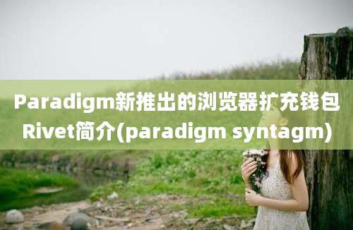 Paradigm新推出的浏览器扩充钱包Rivet简介(paradigm syntagm)