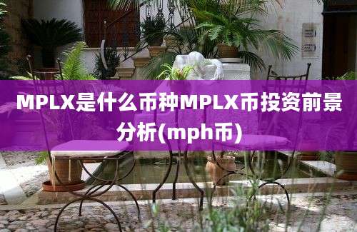 MPLX是什么币种MPLX币投资前景分析(mph币)