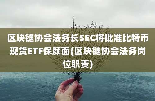 区块链协会法务长SEC将批准比特币现货ETF保颜面(区块链协会法务岗位职责)