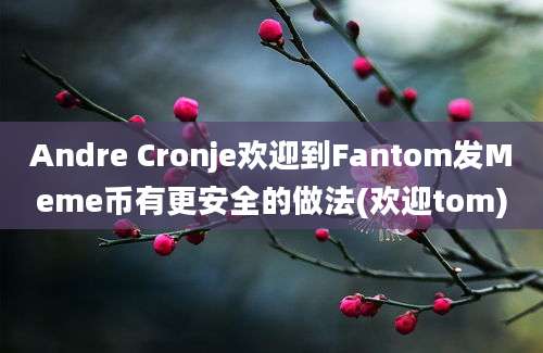 Andre Cronje欢迎到Fantom发Meme币有更安全的做法(欢迎tom)