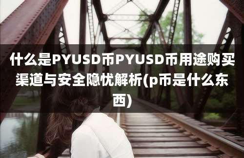 什么是PYUSD币PYUSD币用途购买渠道与安全隐忧解析(p币是什么东西)