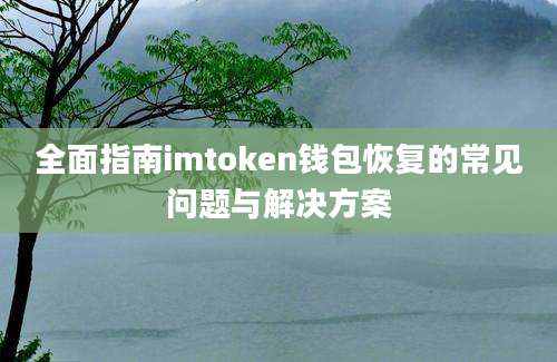 全面指南imtoken钱包恢复的常见问题与解决方案