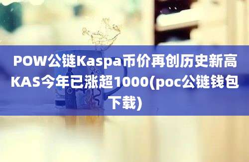 POW公链Kaspa币价再创历史新高KAS今年已涨超1000(poc公链钱包下载)