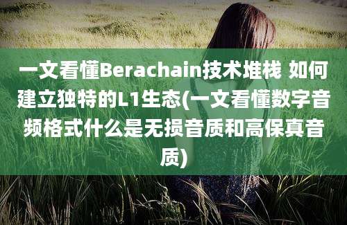 一文看懂Berachain技术堆栈 如何建立独特的L1生态(一文看懂数字音频格式什么是无损音质和高保真音质)