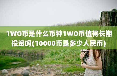 1WO币是什么币种1WO币值得长期投资吗(10000币是多少人民币)