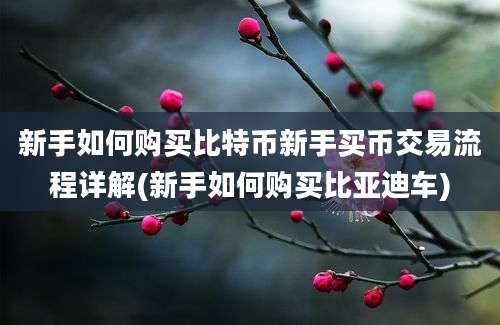 新手如何购买比特币新手买币交易流程详解(新手如何购买比亚迪车)