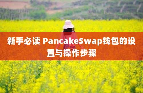 新手必读 PancakeSwap钱包的设置与操作步骤