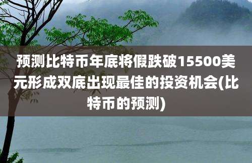 预测比特币年底将假跌破15500美元形成双底出现最佳的投资机会(比特币的预测)