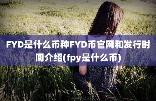 FYD是什么币种FYD币官网和发行时间介绍(fpy是什么币)