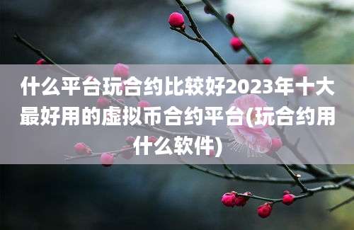 什么平台玩合约比较好2023年十大最好用的虚拟币合约平台(玩合约用什么软件)