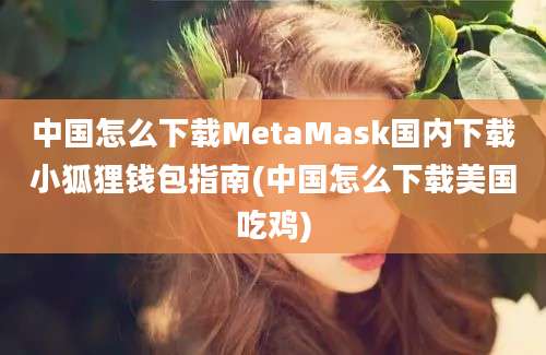 中国怎么下载MetaMask国内下载小狐狸钱包指南(中国怎么下载美国吃鸡)