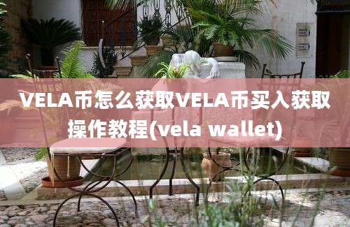 VELA币怎么获取VELA币买入获取操作教程(vela wallet)