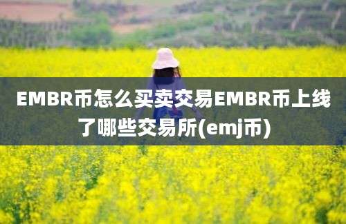 EMBR币怎么买卖交易EMBR币上线了哪些交易所(emj币)