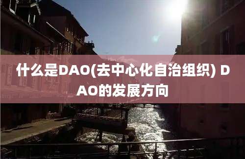 什么是DAO(去中心化自治组织) DAO的发展方向