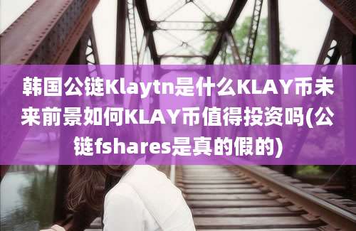 韩国公链Klaytn是什么KLAY币未来前景如何KLAY币值得投资吗(公链fshares是真的假的)