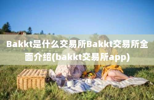 Bakkt是什么交易所Bakkt交易所全面介绍(bakkt交易所app)