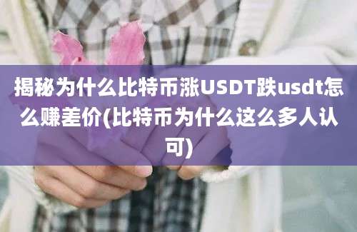 揭秘为什么比特币涨USDT跌usdt怎么赚差价(比特币为什么这么多人认可)