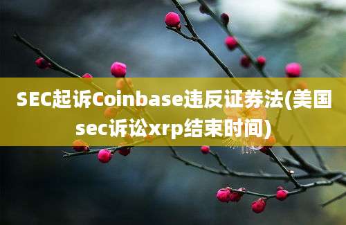 SEC起诉Coinbase违反证券法(美国sec诉讼xrp结束时间)