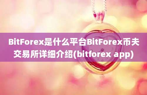 BitForex是什么平台BitForex币夫交易所详细介绍(bitforex app)