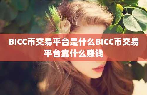 BICC币交易平台是什么BICC币交易平台靠什么赚钱