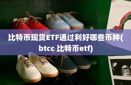 比特币现货ETF通过利好哪些币种(btcc 比特币etf)