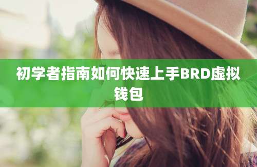 初学者指南如何快速上手BRD虚拟钱包