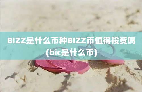 BIZZ是什么币种BIZZ币值得投资吗(bic是什么币)