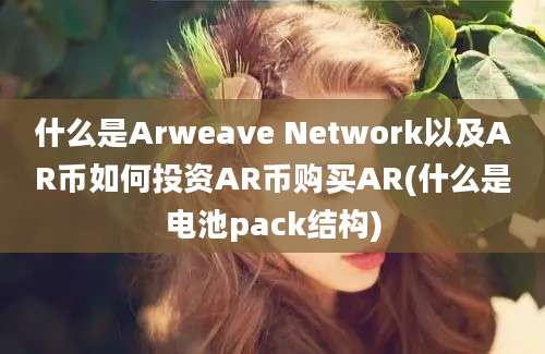 什么是Arweave Network以及AR币如何投资AR币购买AR(什么是电池pack结构)