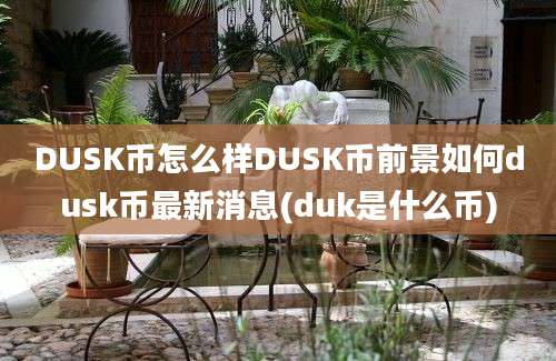 DUSK币怎么样DUSK币前景如何dusk币最新消息(duk是什么币)