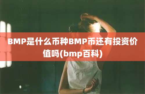 BMP是什么币种BMP币还有投资价值吗(bmp百科)