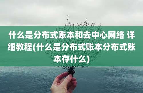 什么是分布式账本和去中心网络 详细教程(什么是分布式账本分布式账本存什么)