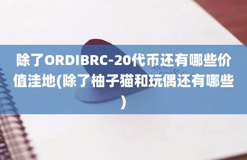 除了ORDIBRC-20代币还有哪些价值洼地(除了柚子猫和玩偶还有哪些)