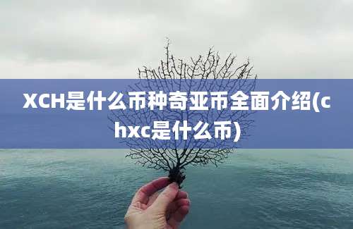 XCH是什么币种奇亚币全面介绍(chxc是什么币)