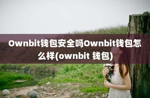 Ownbit钱包安全吗Ownbit钱包怎么样(ownbit 钱包)