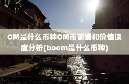 OM是什么币种OM币前景和价值深度分析(boom是什么币种)