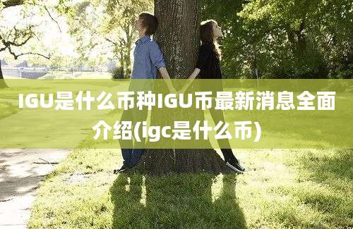 IGU是什么币种IGU币最新消息全面介绍(igc是什么币)