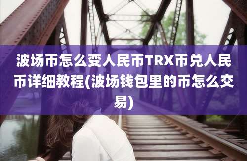 波场币怎么变人民币TRX币兑人民币详细教程(波场钱包里的币怎么交易)